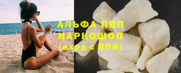 индика Бронницы