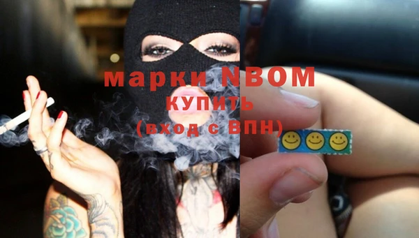 ECSTASY Бородино