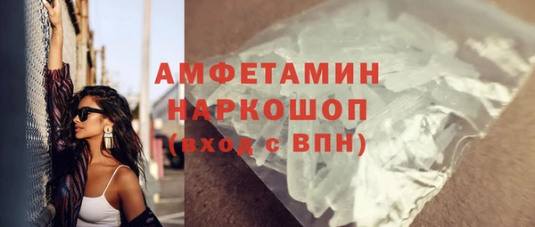 ECSTASY Бородино