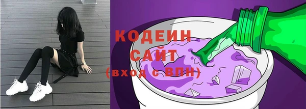 индика Бронницы