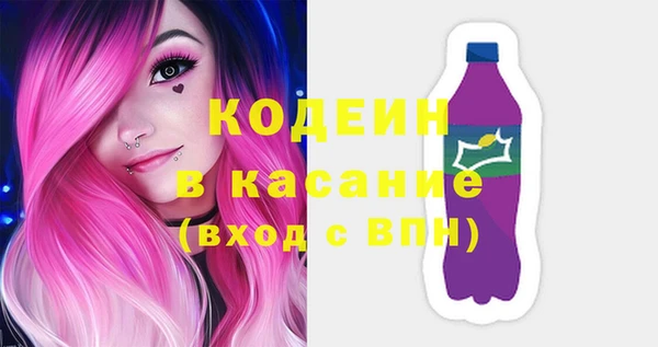 индика Бронницы