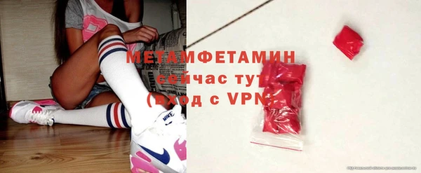 индика Бронницы