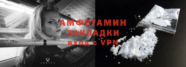 ECSTASY Бородино
