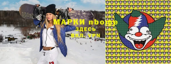 индика Бронницы