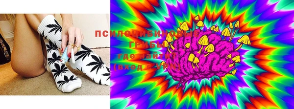 индика Бронницы