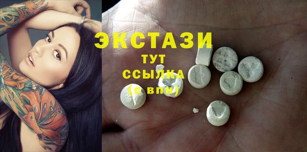 ECSTASY Бородино