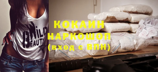 индика Бронницы