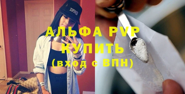 индика Бронницы