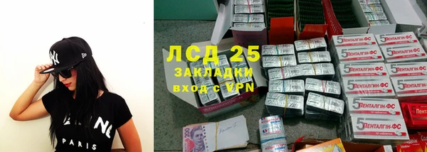 индика Бронницы