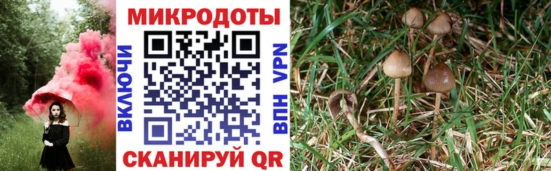 shop как зайти  Гремячинск  Галлюциногенные грибы ЛСД 